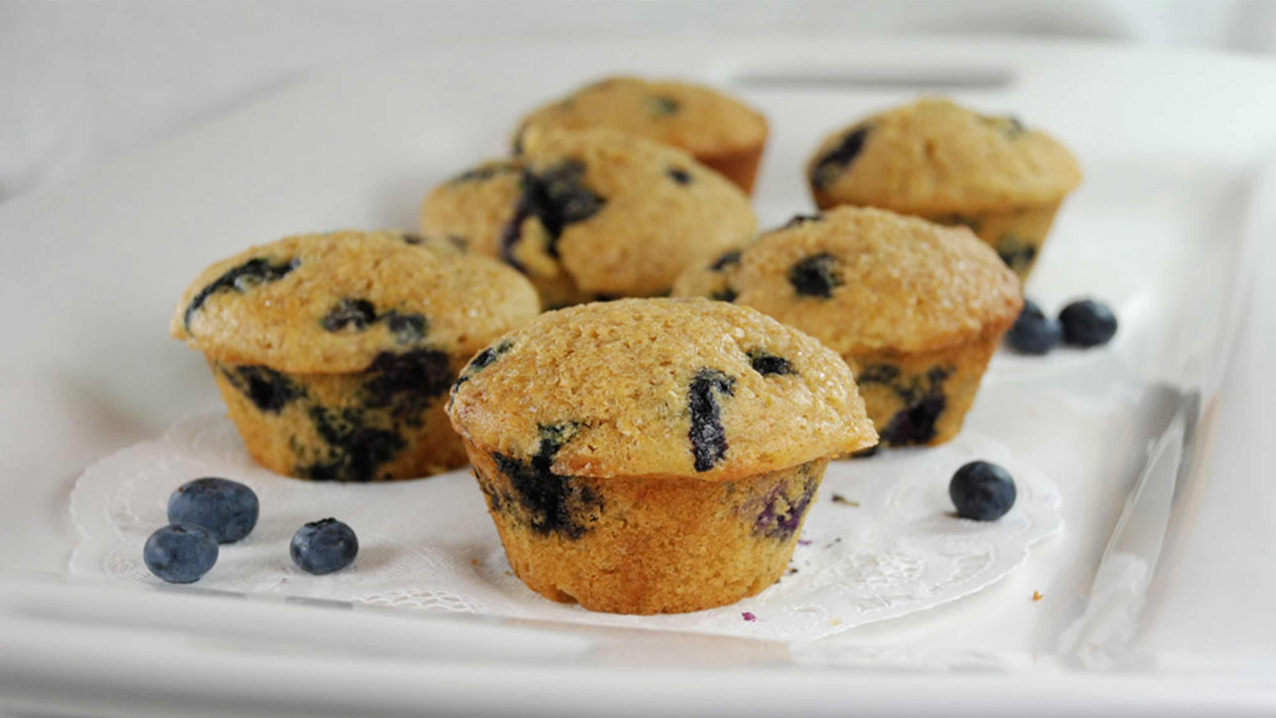 propud blueberry muffin